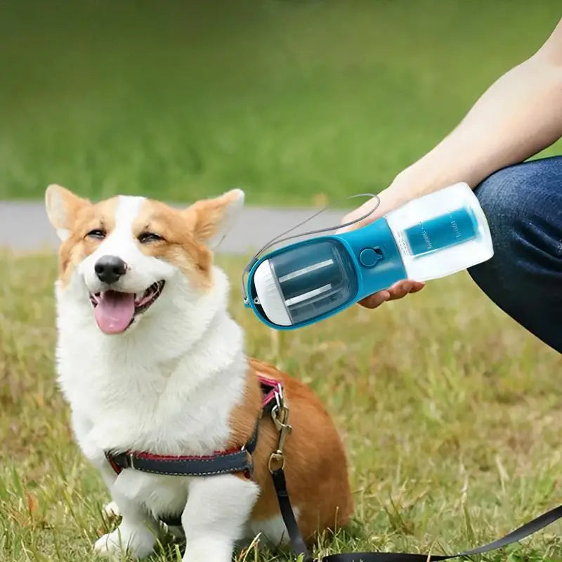 Pet Water Bottle